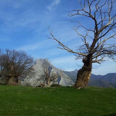 Casa Leny La Vega (Vega de Liebana, Cantabria) Exterior foto